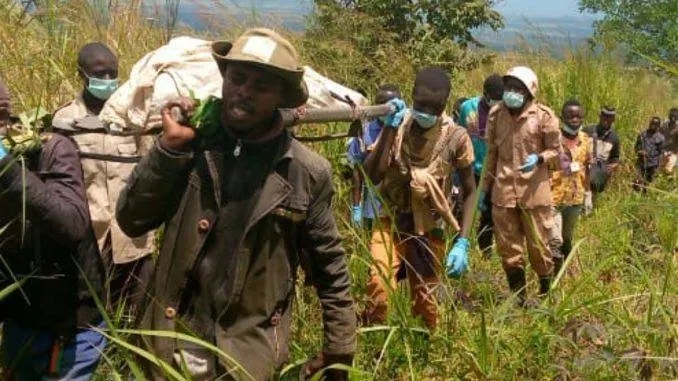 Nord-Kivu : 4 morts et des portés disparus dans une incursion attribuée aux ADF à Masau